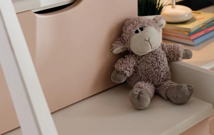 Комната для двух девочек Тимберика Кидс №9