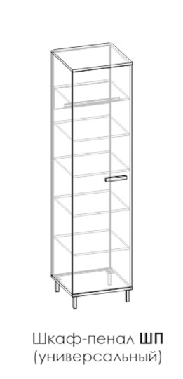 Шкаф-пенал (универсальный) Колледж ШП