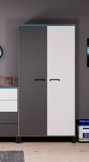 Шкаф 2-х дверный "Карбон"