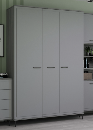 Шкаф 3-х створчатый Колледж Ш3.G