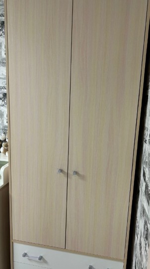 Шкаф для одежды Дельта №4