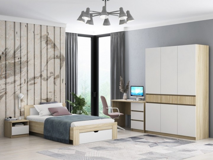 Шкаф трехдверный ДЕЛЬТА Next 13.04