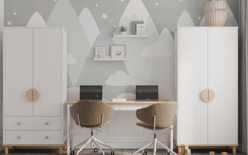 Шкаф 2-х дверный Эмма 9, с двумя ящиками