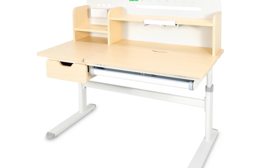 Детский стол Ergokids Bravo Maximus Plus (TH-360 Maximus Plus MG/BL)