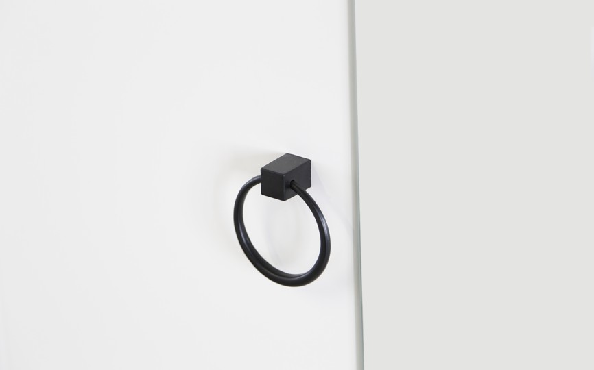 Шкаф однодверный Ева 100.01 (пенал)