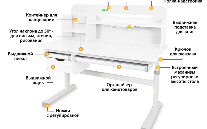 Детский стол Ergokids Bravo Max Plus (TH-360 Max Plus WG/G) 