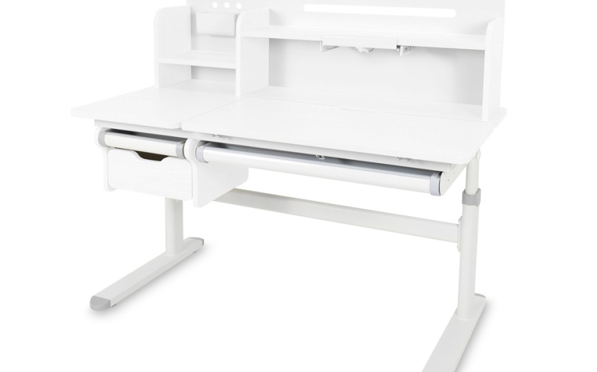 Детский стол Ergokids Bravo Max Plus (TH-360 Max Plus WG/G) 