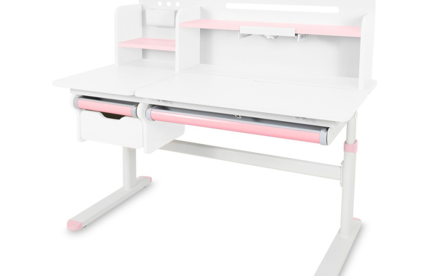 Детский стол Ergokids Bravo Max Plus (TH-360 Max Plus WG/G) 