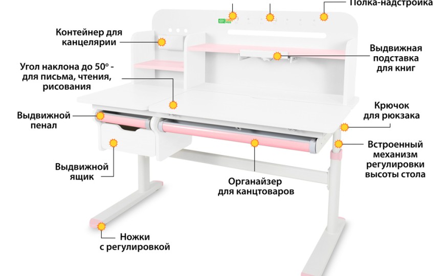 Детский стол Ergokids Bravo Max Plus (TH-360 Max Plus WG/G) 