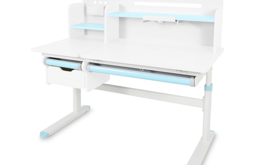 Детский стол Ergokids Bravo Max Plus (TH-360 Max Plus WG/G) 