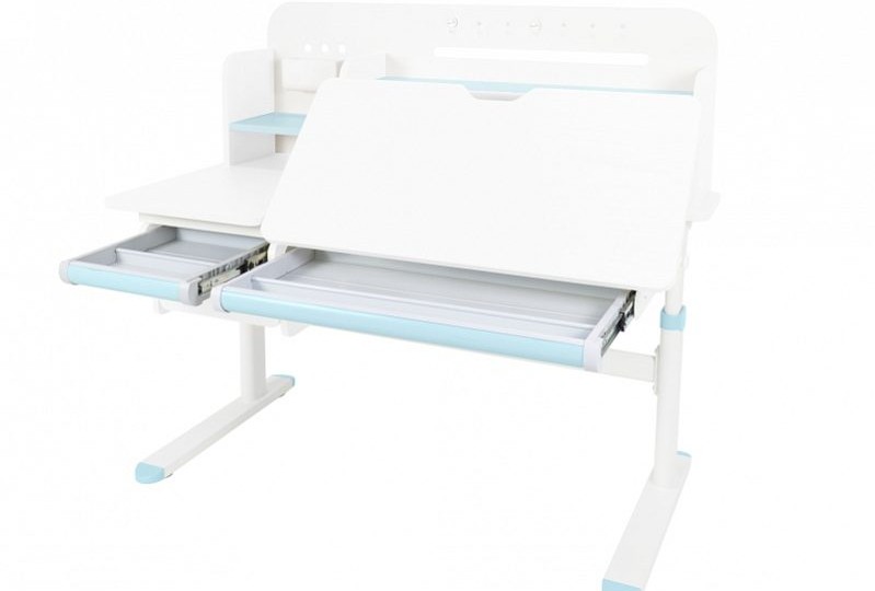 Детский стол Ergokids Bravo Max Plus (TH-360 Max Plus WG/G) 