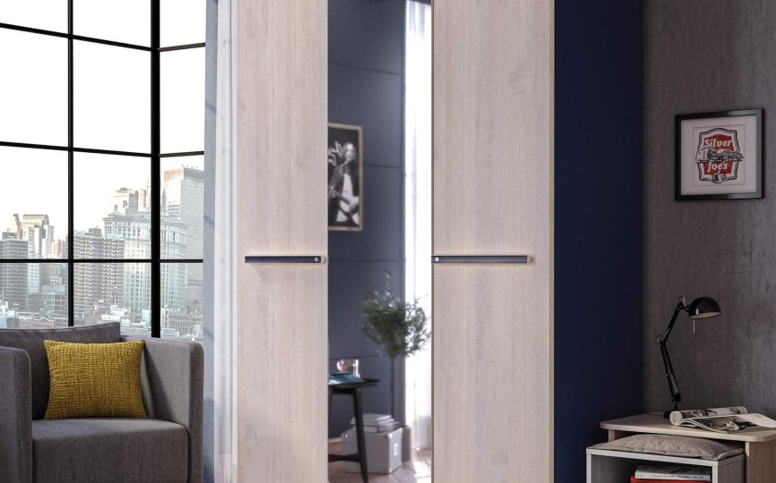 Шкаф трехдверный Trio