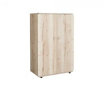 Шкаф для одежды малый ДЕЛЬТА Лофт 13.01 Irish