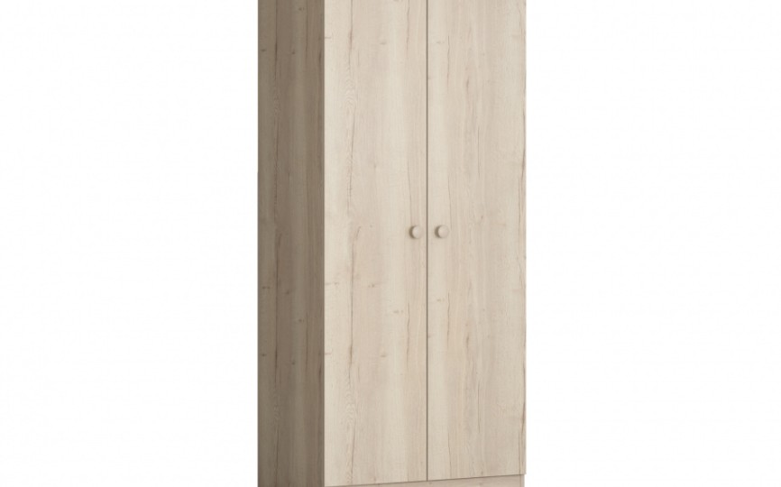 Шкаф для одежды ДЕЛЬТА Лофт 13.02 Irish