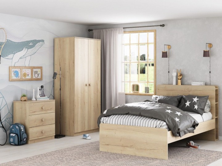 Шкаф для одежды ДЕЛЬТА Лофт 13.02 Irish