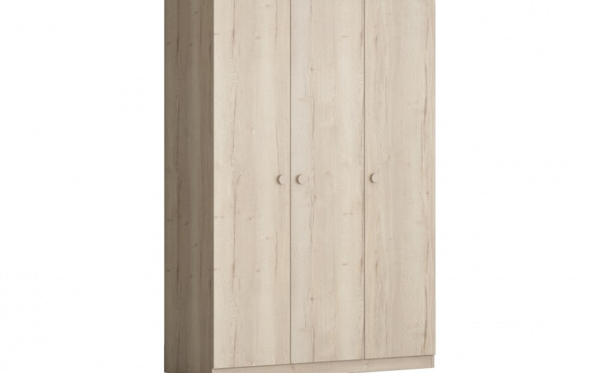 Шкаф для одежды ДЕЛЬТА Лофт 13.03 Irish