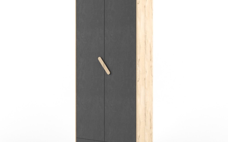 Шкаф "Два плюс Два" (корпус дуб ирландский)