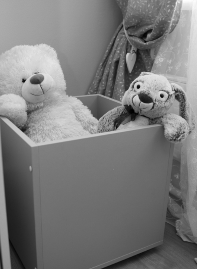 Ящик для игрушек Можга Красная Звезда Р430.3-серый