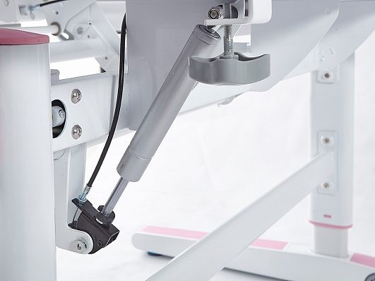 Детский стол Mealux Ergowood-L (BD-810)