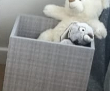 Ящик для игрушек Можга Красная Звезда Р430.3-шане