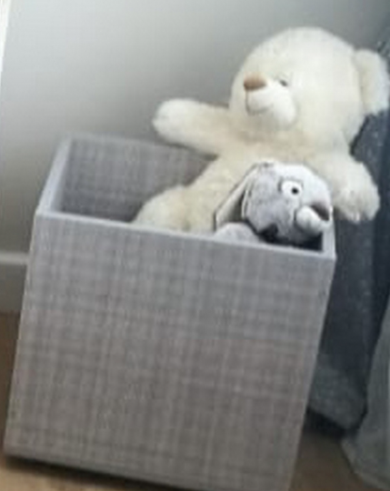 Ящик для игрушек Можга Красная Звезда Р430.3-шане