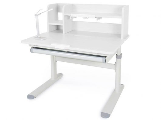 Детский стол ErgoKids Compas Max WG/G (TH-308 Max WG/G)