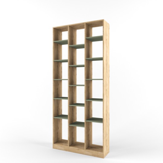 Стеллаж перегородка "Два плюс Два" (корпус дуб ирландский)