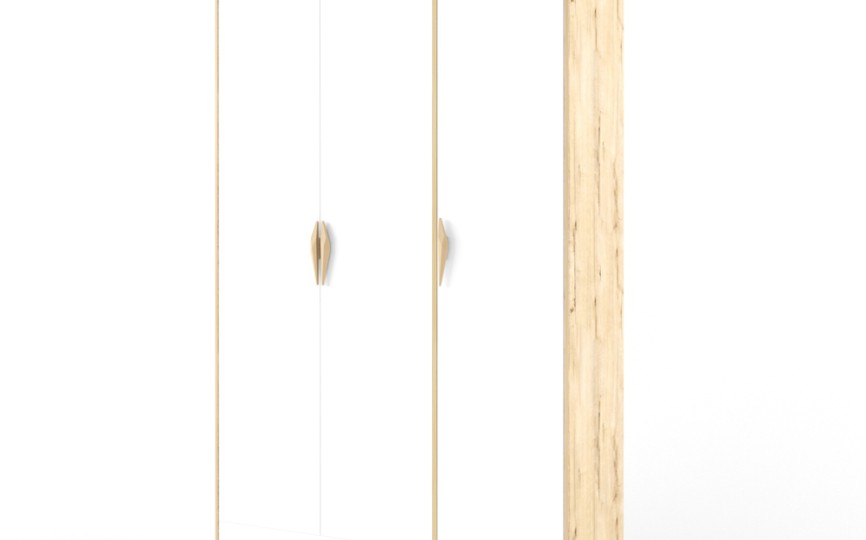 Шкаф 3-х створчатый  "Два плюс Два" (корпус дуб ирландский)