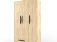 Шкаф 3-х створчатый  "Два плюс Два" (корпус дуб ирландский)