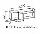 Полка НП1 "Димика" Полка НП1 "Димика"