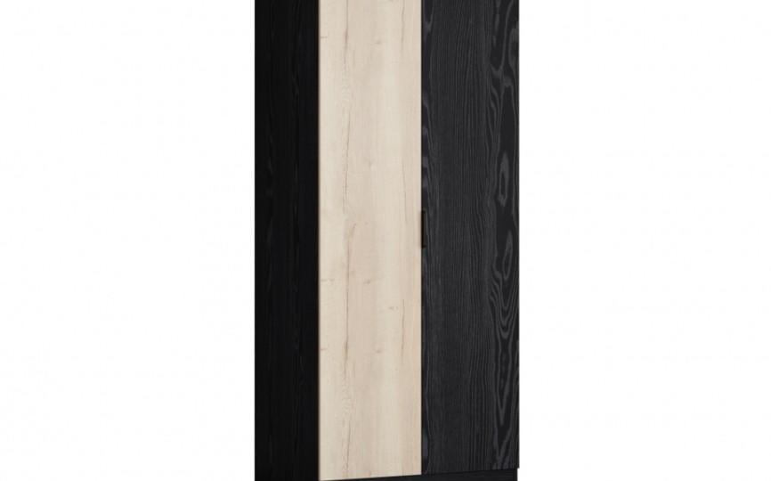 Шкаф для одежды ДЕЛЬТА Лофт 13.02 Black