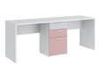 Стол на два рабочих места с тумбой Моно С3  