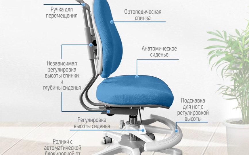 Детское кресло ErgoKids (Y-507)