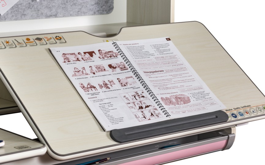 Детский стол ErgoKids Winnipeg Max (BD-630 Max)