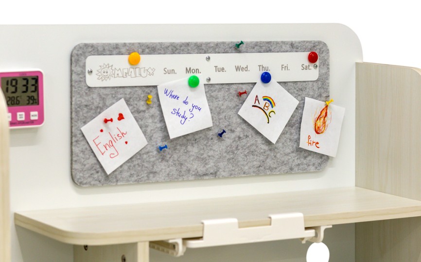 Детский стол ErgoKids Winnipeg Max (BD-630 Max)