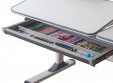 Детский стол Ergokids TH-320