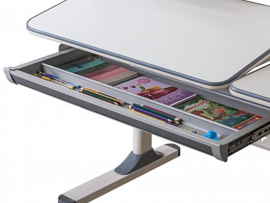 Детский стол Ergokids TH-320