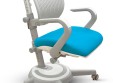 Детское ортопедическое кресло Mealux Ergoback (Y-1020)