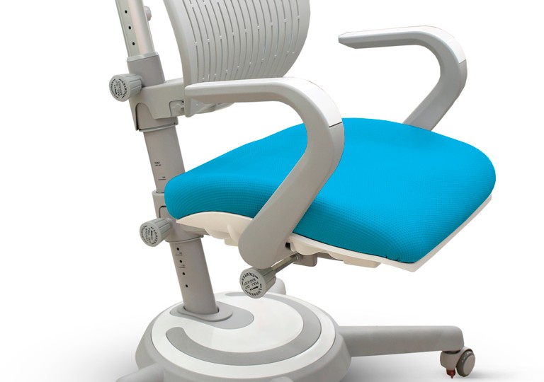 Детское ортопедическое кресло Mealux Ergoback (Y-1020)