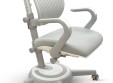 Детское ортопедическое кресло Mealux Ergoback (Y-1020)