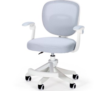 Детское кресло Ergokids Junior (Y-124)