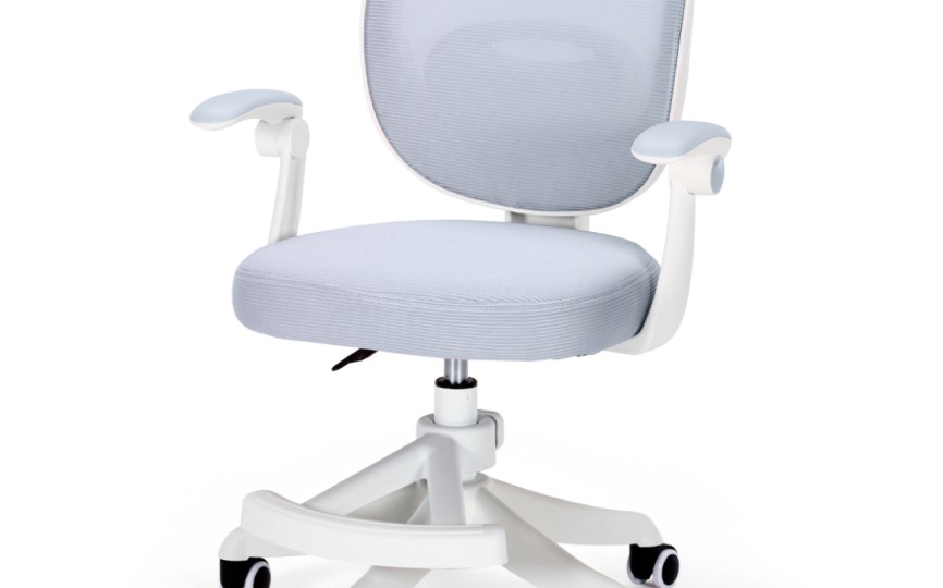 Детское кресло Ergokids Junior (Y-124)