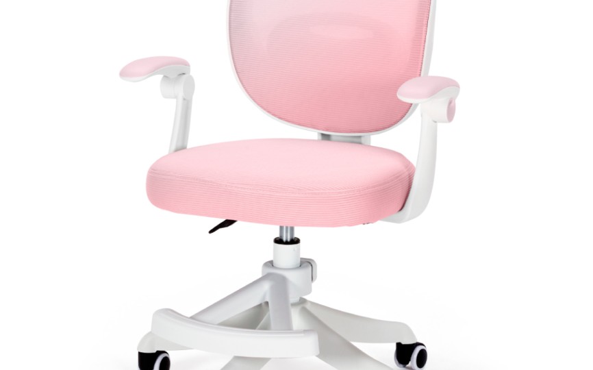 Детское кресло Ergokids Junior (Y-124)