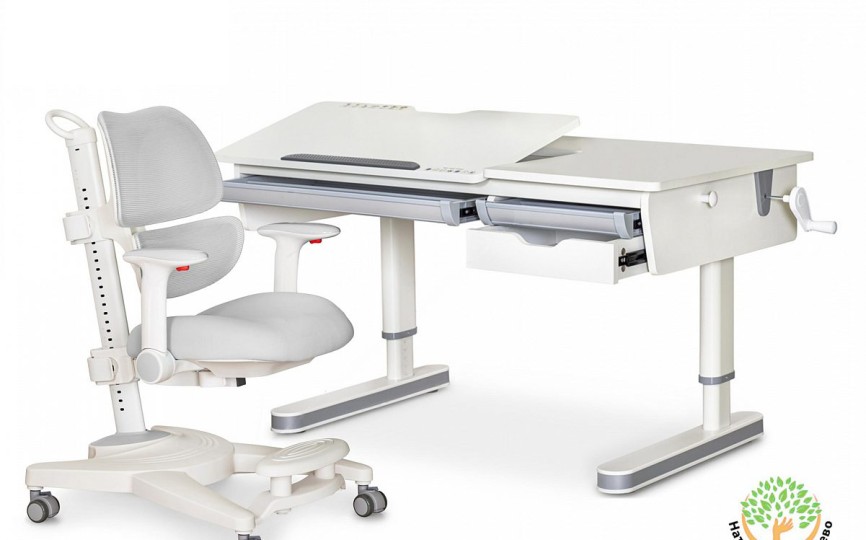 Комплект парта Montreal 2 Lite + кресло Ergokids Space Air (BD-670-2 MC/WG с полкой + Y-609)