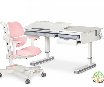 Комплект парта Montreal 2 Lite + кресло Ergokids Space Air (BD-670-2 MC/WG с полкой + Y-609)