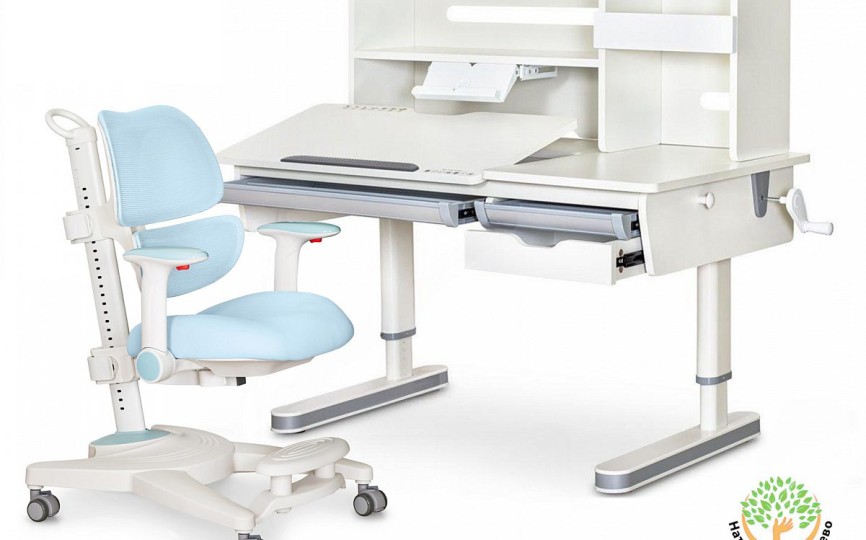Комплект парта Montreal 2 + кресло Ergokids Space Air (BD-670-2 MC/WG с полкой + Y-609)