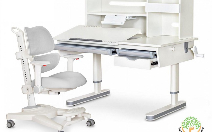 Комплект парта Montreal 2 + кресло Ergokids Space Air (BD-670-2 MC/WG с полкой + Y-609)