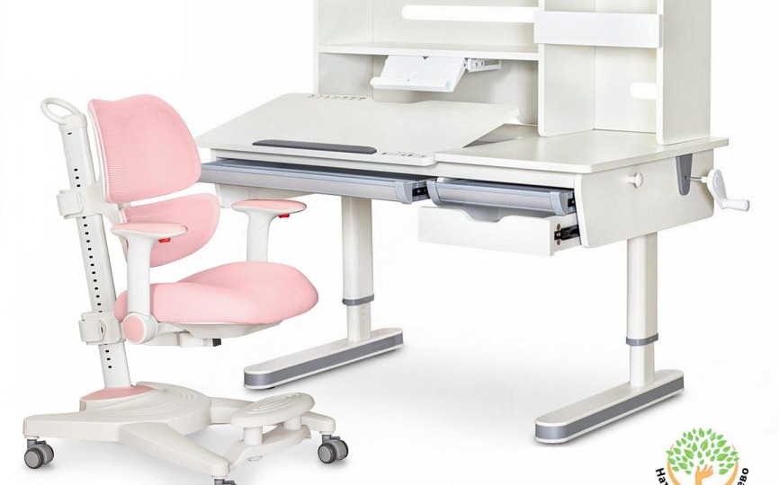 Комплект парта Montreal 2 + кресло Ergokids Space Air (BD-670-2 MC/WG с полкой + Y-609)